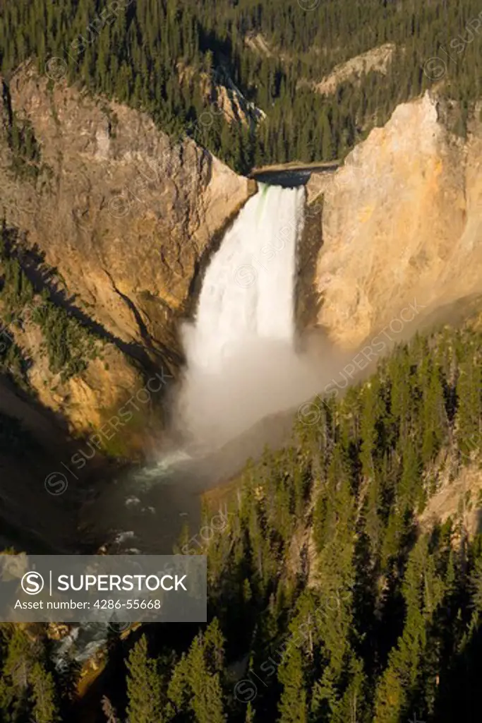 WYOMING, USA - Yellowstone River plunges 308 feet over Lower Falls, in Yellowstone National Park. 