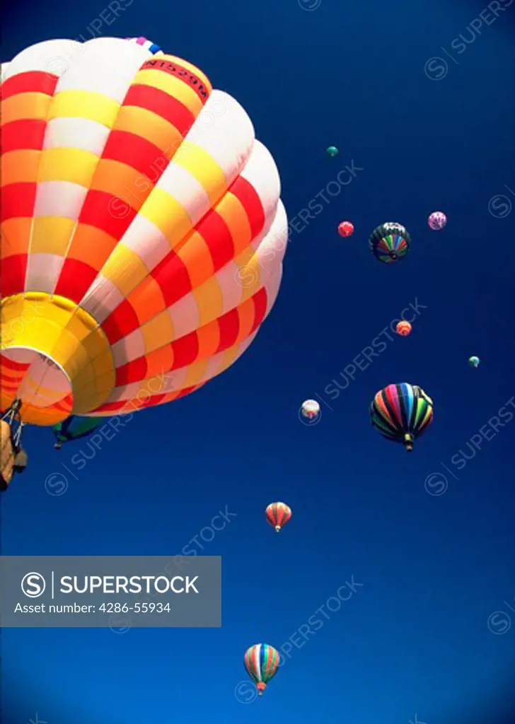Hot air balloons in San Diego, California.