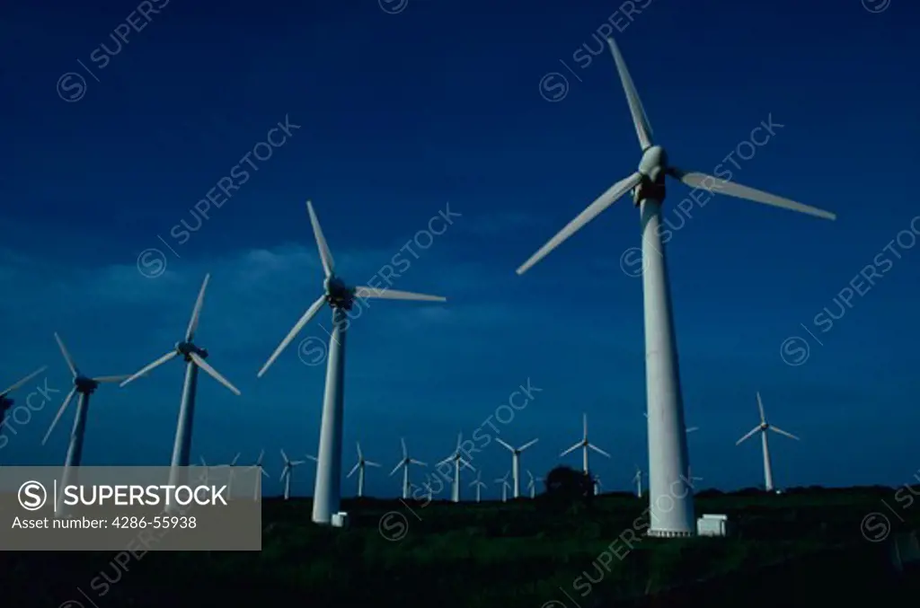 Electric windmills in South Point, Hawaii.
