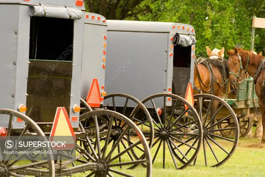 Amish buggies, Cecil County, Maryland