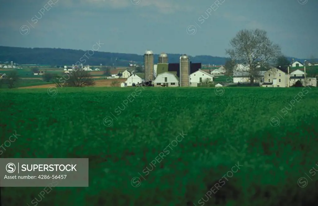 View across a lush green field at several farms in Amish Country.