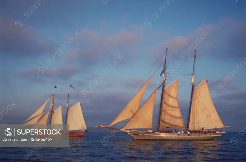 Two sailboats, Tall Ships, sailing off the coast of Dana Point, California.