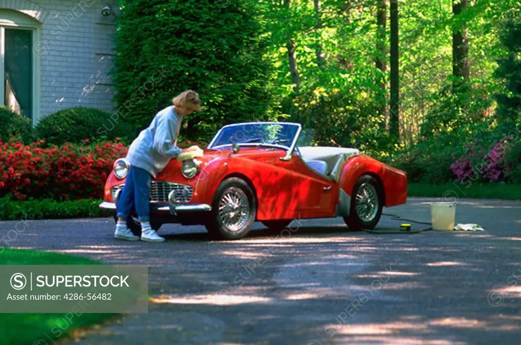 A young girl washing and waxing a vintage  TR3 convertible in the driveway outside her house.