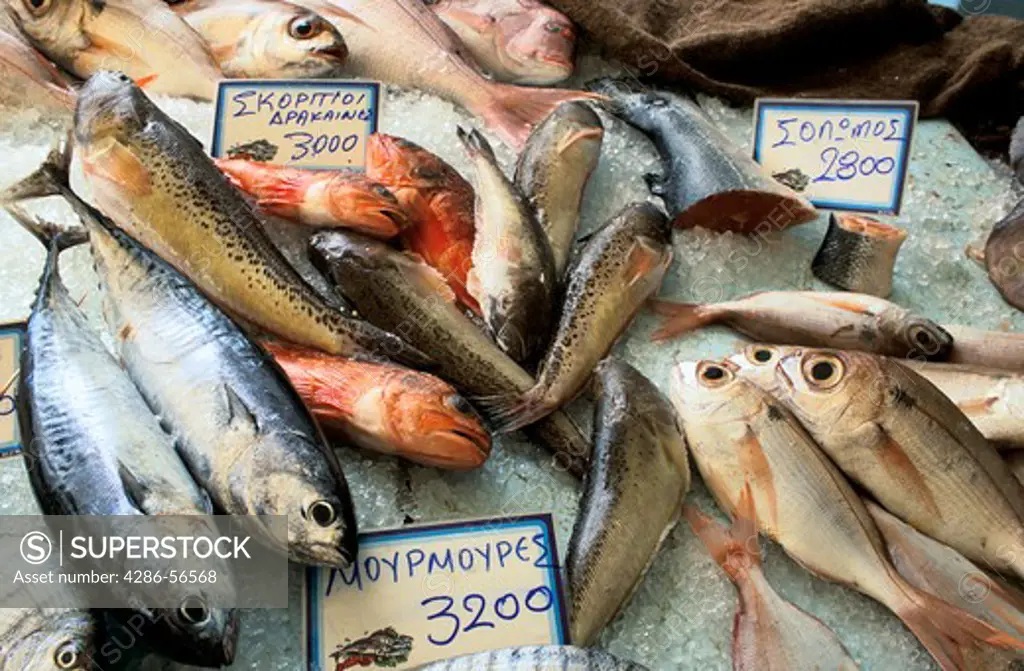 Fresh fish for sale in market in Greek town of Rethymnon, western Crete.