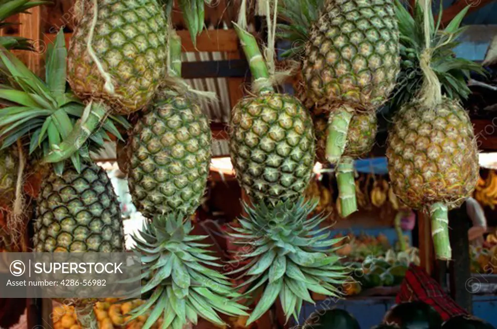 Zanzibar. Tanzania. East Africa. Fresh Pineapples on sale in Stone Town Central Market.