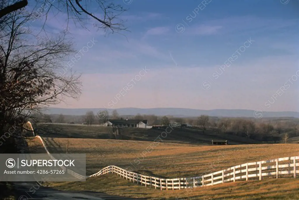 View of a long, white picket fence in the country side of rural America. 