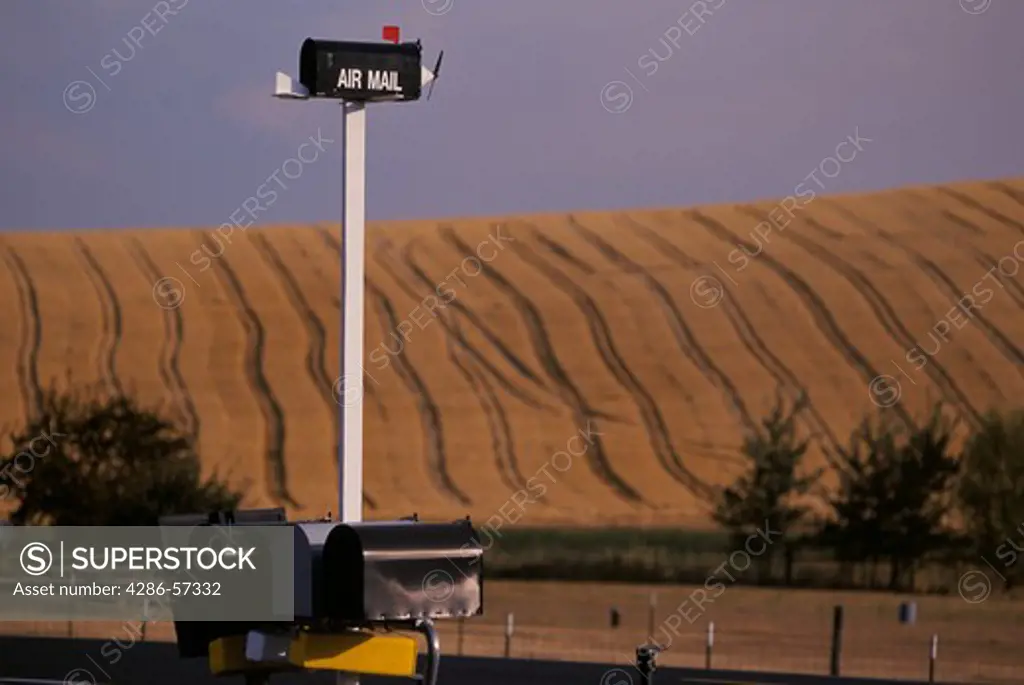 Humorous mailbox for airmail sits on tall pole above other mailboxes, rural eastern Washington State.