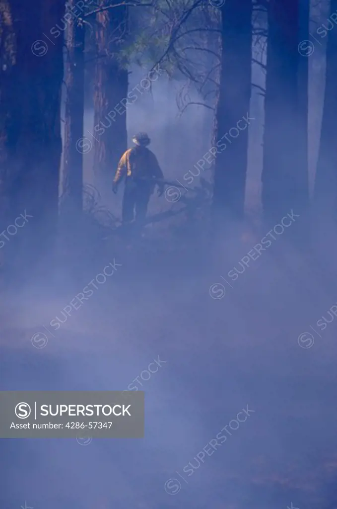 A firefighter walks amidst tress and smoke while maintaining a prescribes burn forest fire.