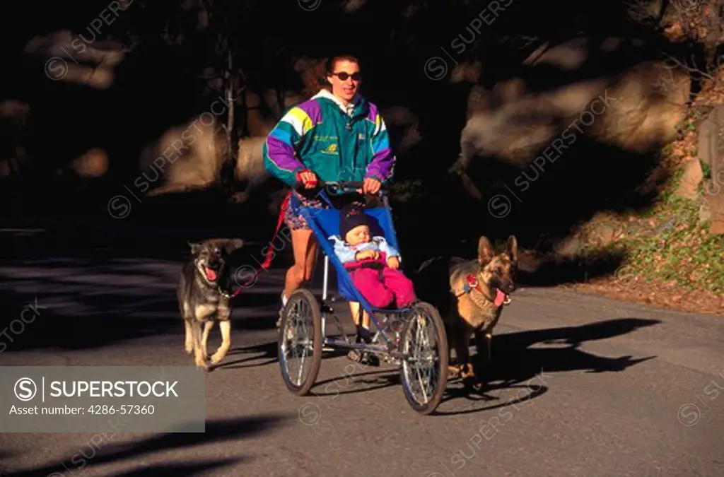 A mother gets a workout jogging behind a three wheeled stroller with her child and two dogs.