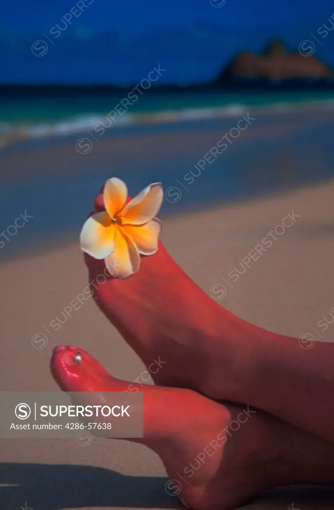 Close-up of a womans feet on the sand with a yellow and white flower between her toes.