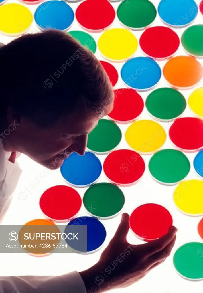 A male scientist holding a red petri dish that is in a group of several other multi-colored petri dishes.