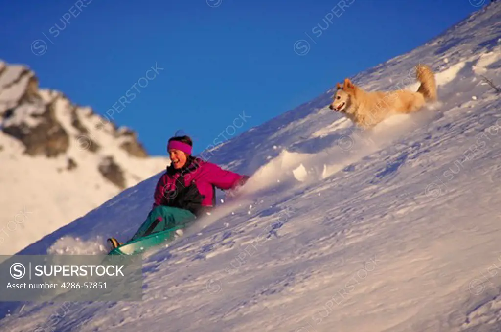A woman sleds down a snowy hill as her dog chaser after her, Hatcher Pass, AK.