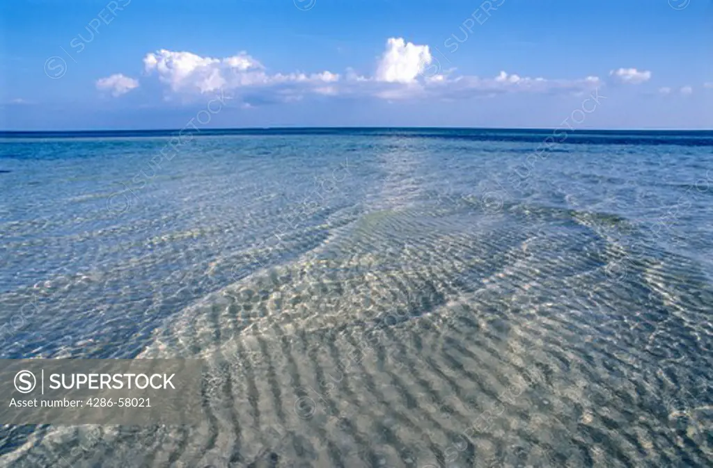 Crystal clear water at low tide, Sand Spur Beach, Bahia Honda State Park, Bahia Honda Key, Florida