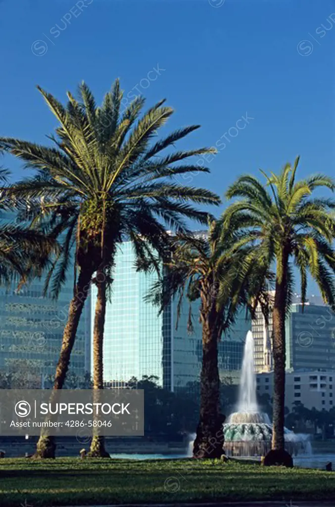 Orlando, Florida, skyline peeks through tropical palm trees along Lake Eola