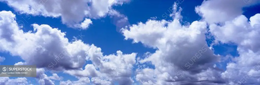 Cumulus clouds float in deep blue sky, Miami, Florida