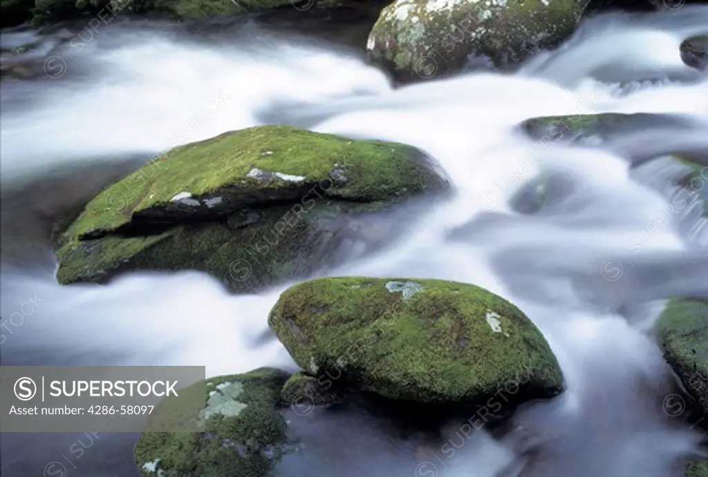Spring time rains flow past moss covered rocks along Roaring Fork in Great Smoky Mountains National Park, Gaitlingburg, Tennessee
