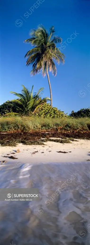 Remote beach in the Florida Keys, Bahia Honda State Park, Florida.