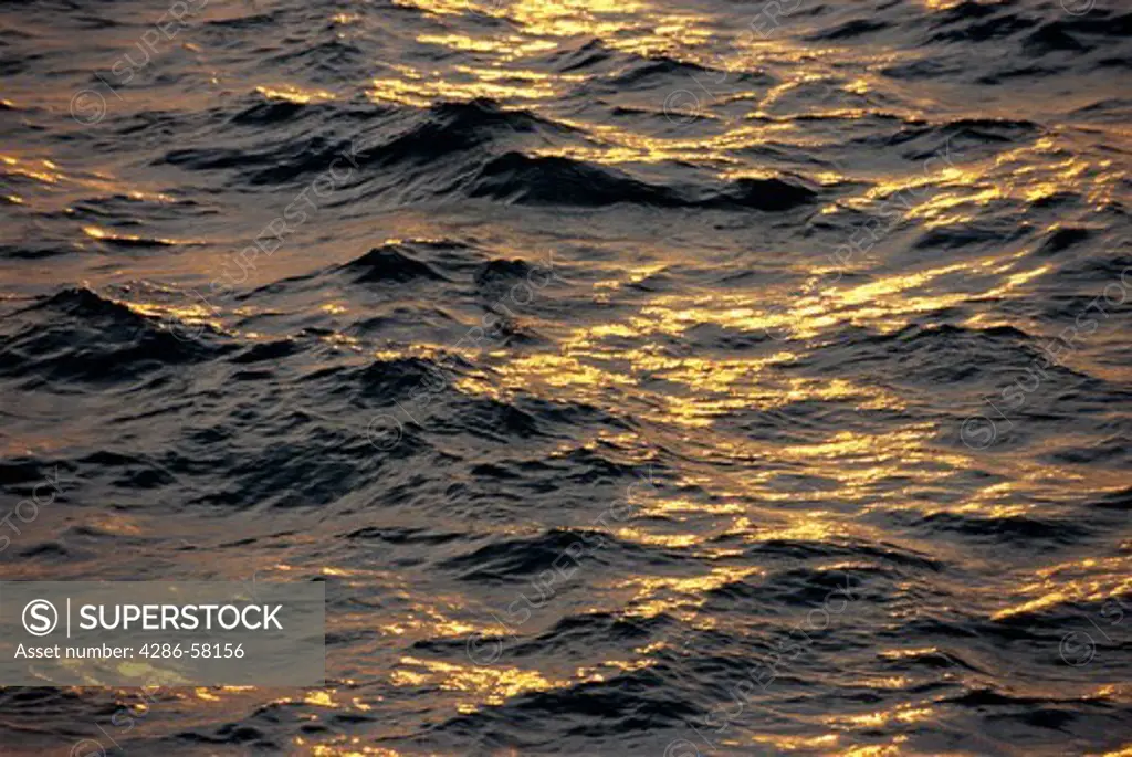 Setting sunlight details ocean waves, Florida Keys, Florida