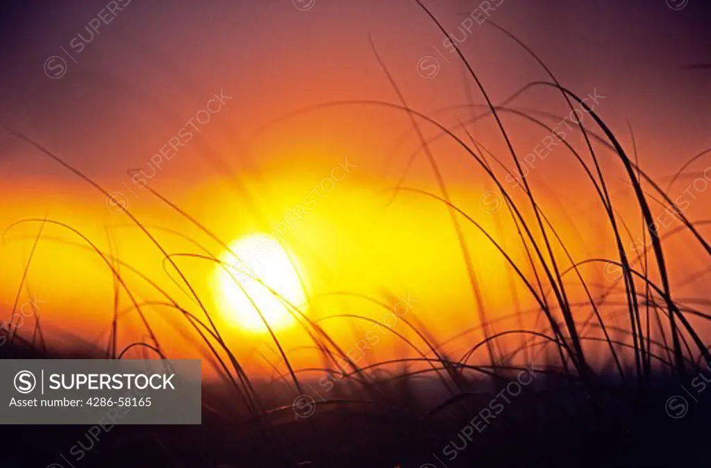 Sun sets behind grass covered sand duens, Bahia Honda State Park, Florida Keys, Florida