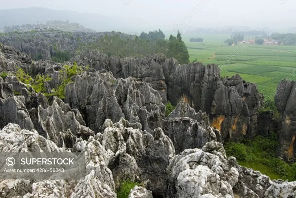 Eroded by water over millions of years, Karst limesone formations flank cropland at the Black Stone Forest, Shilin, Yunnan Province, China. 