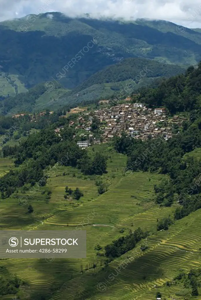 Lush green terraces of rice march up montain sides and encircle village in Yuanyan County, Yunnan Province, China.  