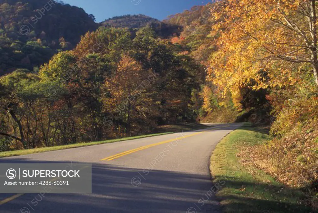 NC, North Carolina, Blue Ridge Parkway, mountains, fall, road