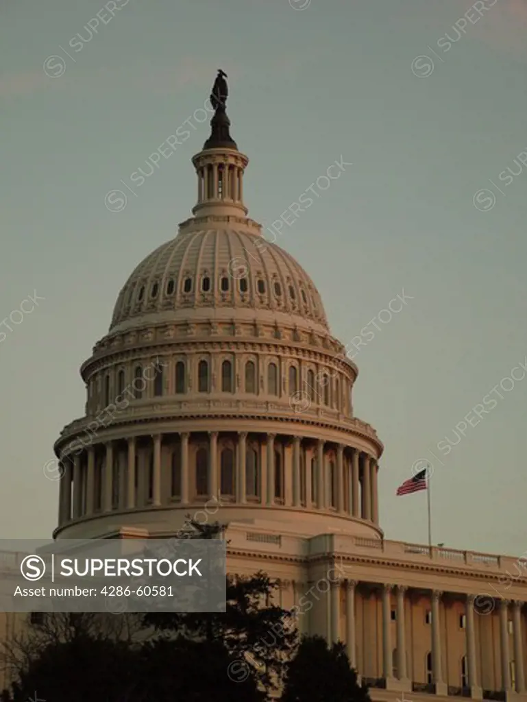 Washington, DC, District of Columbia, D.C., United States Capitol Building on Capitol Hill in the nation's capital