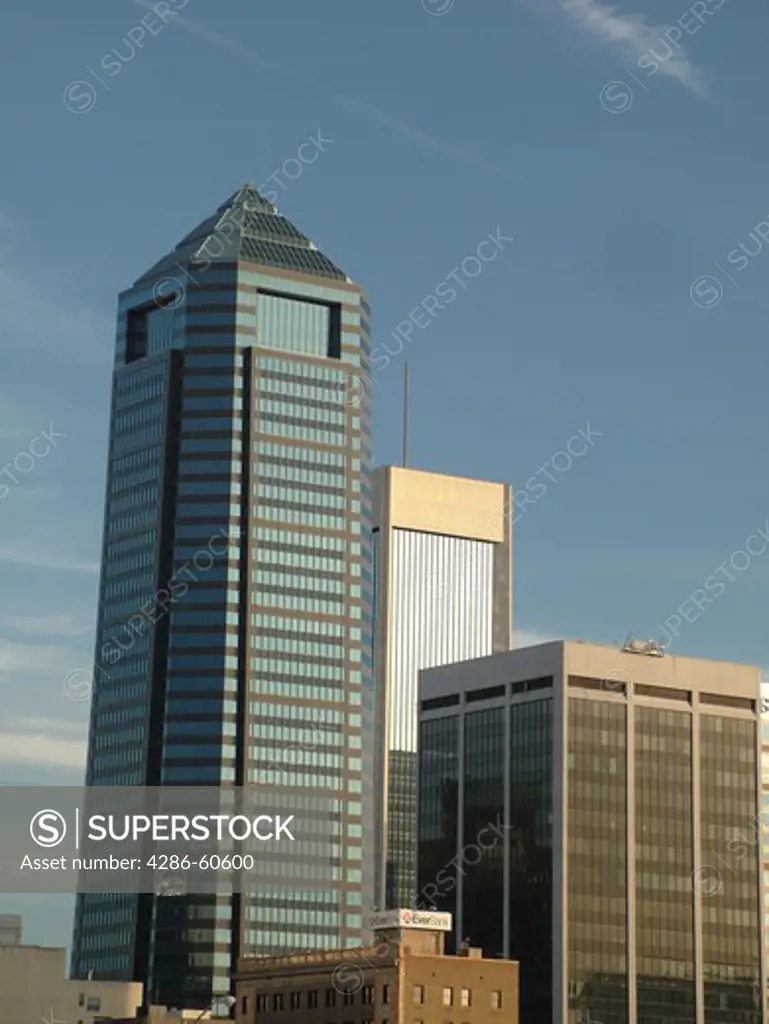 Jacksonville, FL, Florida, downtown, skyline