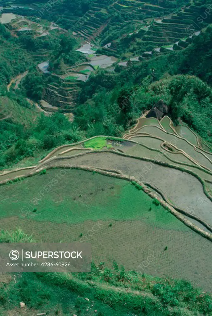 Aerial view of Banaue, Philippines