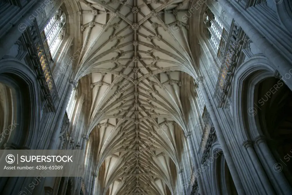 vault ceiling, Winchester Cathedral, Winchester, England
