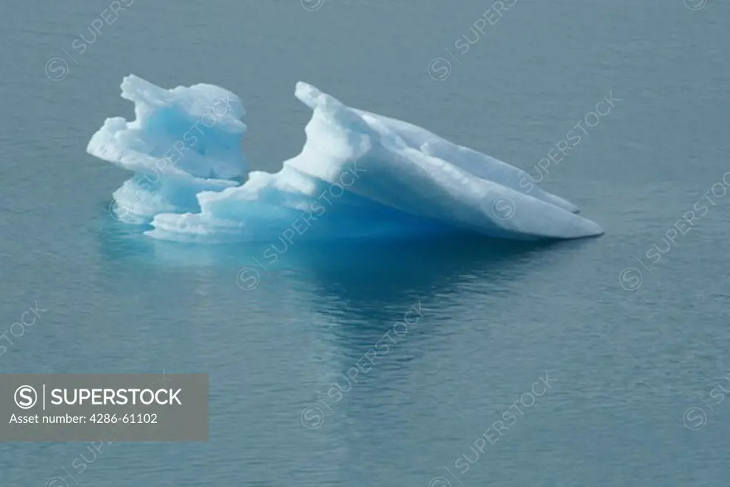Icebergs, Fjord, South Greenland