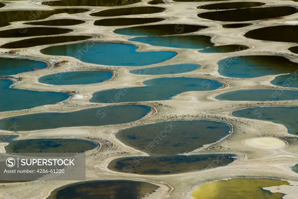 Spotted Lake, near Osoyoos, in the Interior of British Columbia, Canada