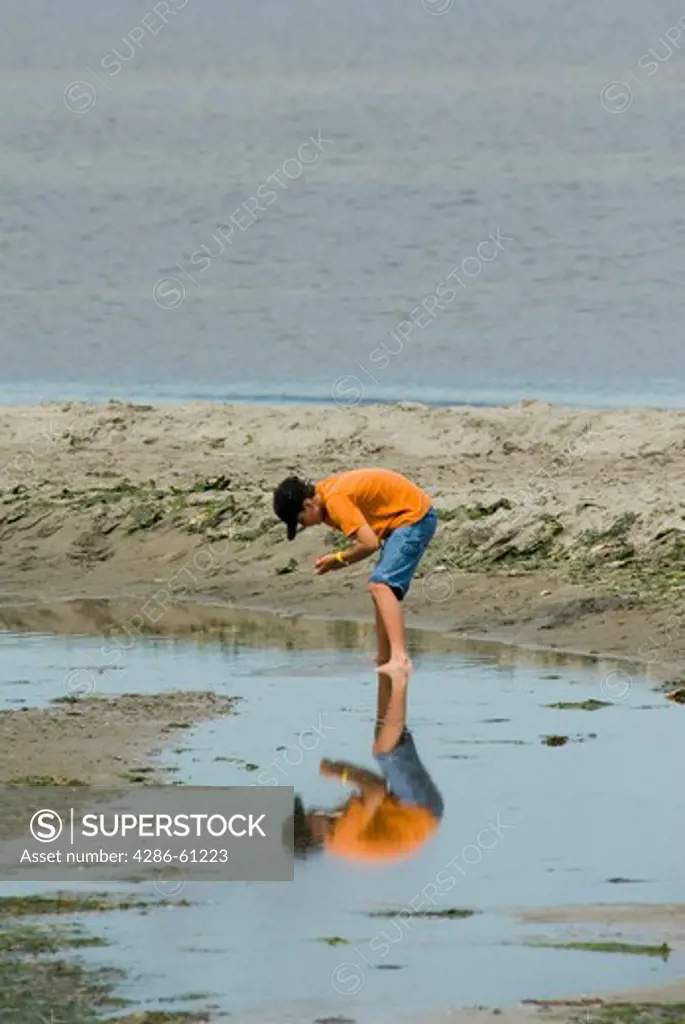 A boy explores a tidepool on Sidney Island, in Gulf Islands National Park, British Columbia, Canada