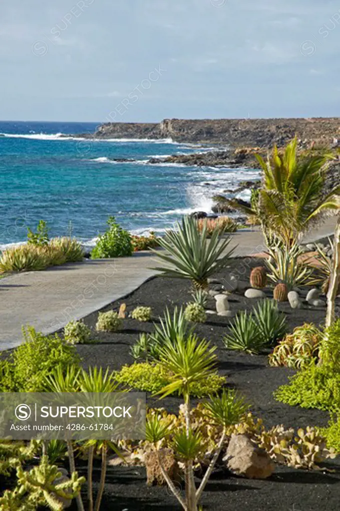 Kueste und Garten einer Hotelanlage, hotel resort at Playa Blanca Lanzarote