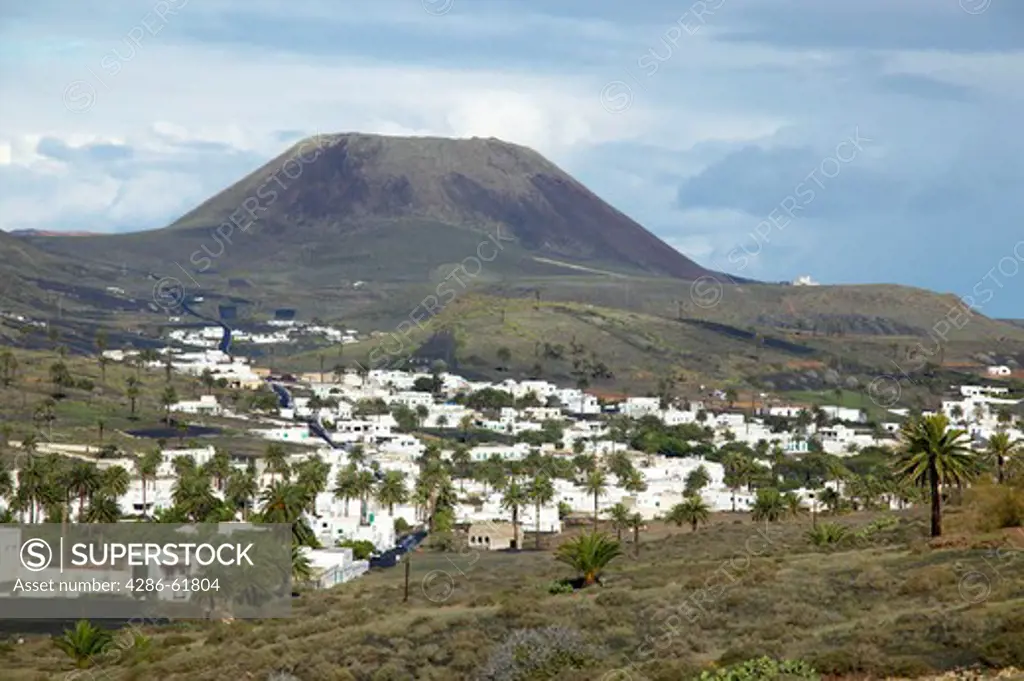 Haria, Valley of one thousand palms, Lanzarote Canary Islands Spain