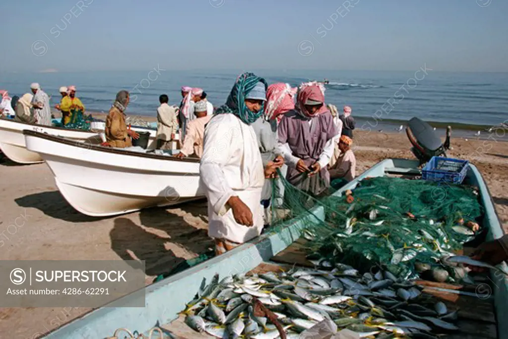 Oman Fischer with her catch on the beach in Barka, fishermen on beach near Barka
