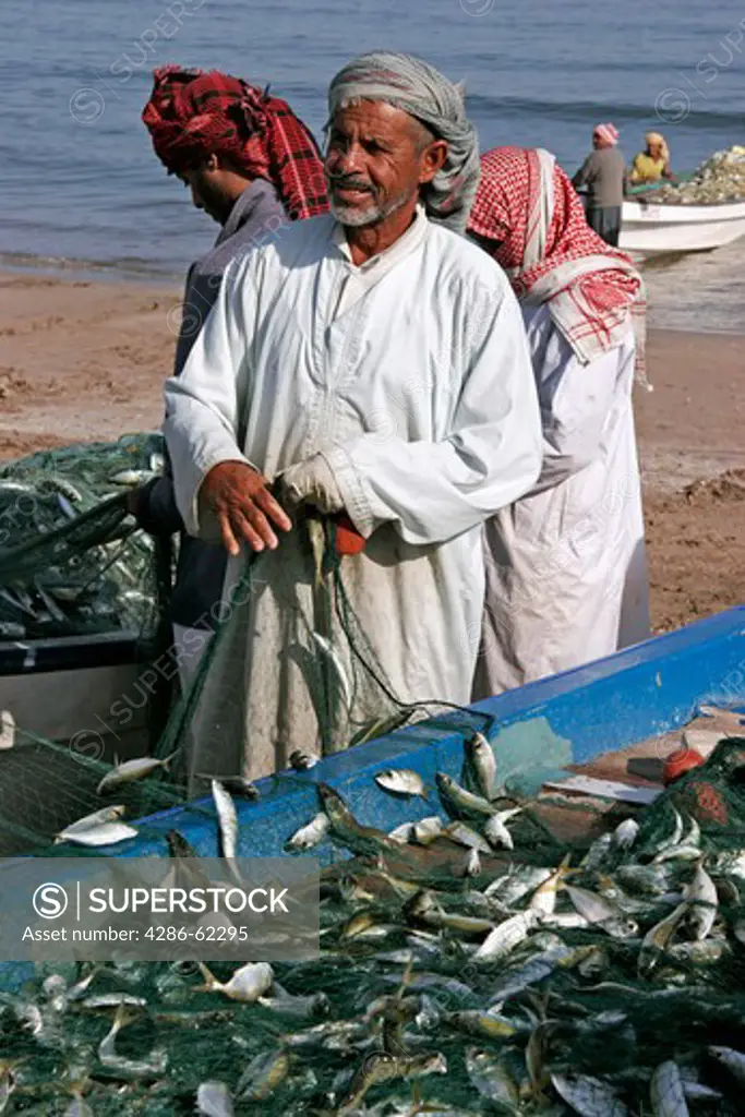 Oman Fischer with her catch on the beach in Barka, fishermen on beach near Barka