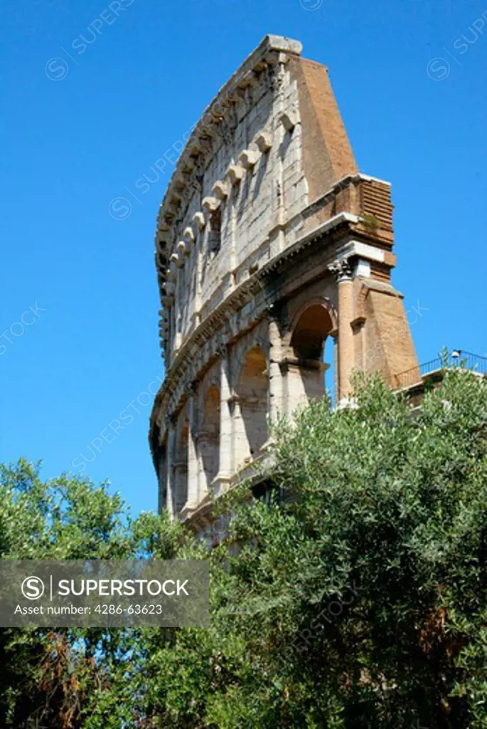 Coloseum in Roma Italy