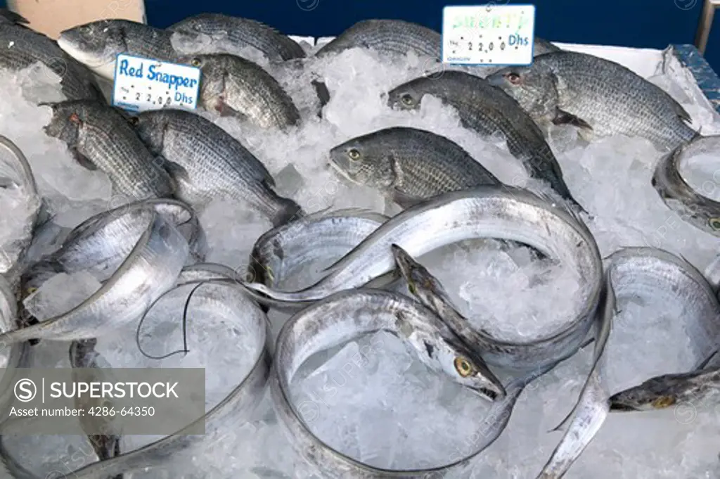 Dubai,  Fischmarkt