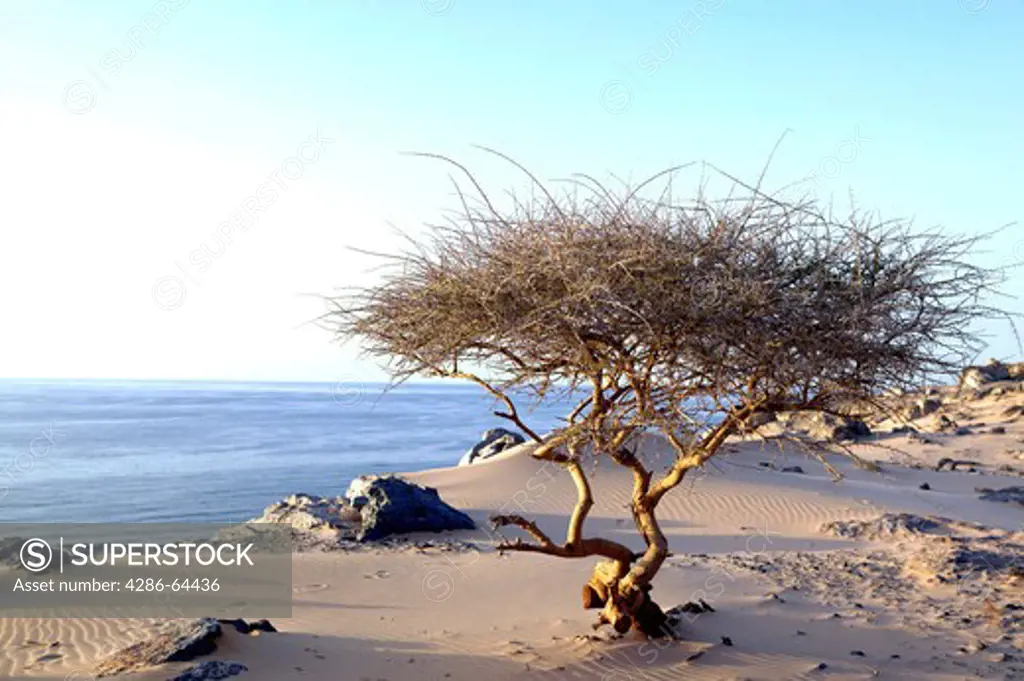 Oman Musandam coast with Al-Kashab, Oman Musandam coast line close to Al Kashab