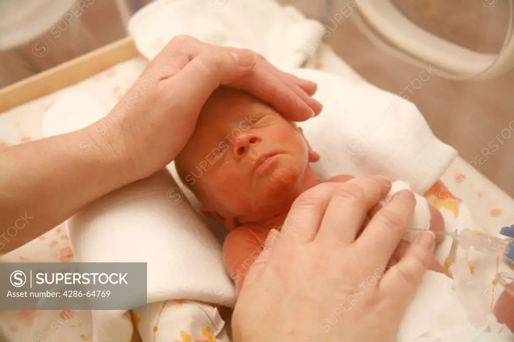 Premature Baby in an Incubator