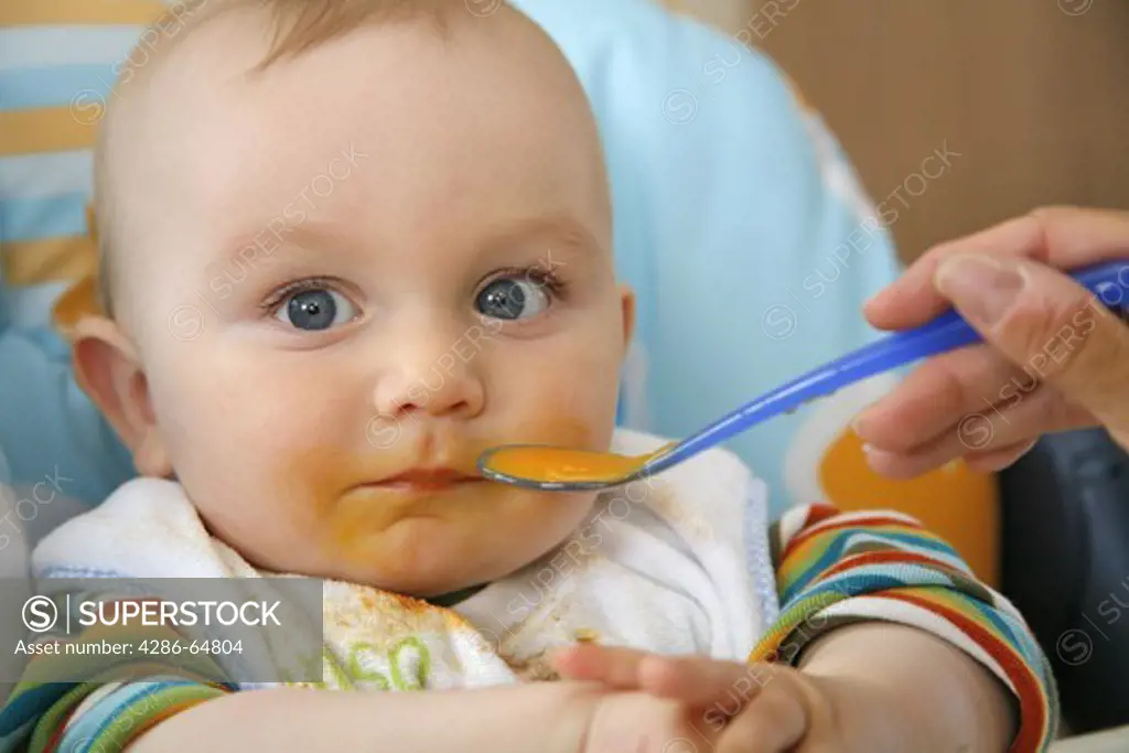 Small child eats carrot mash