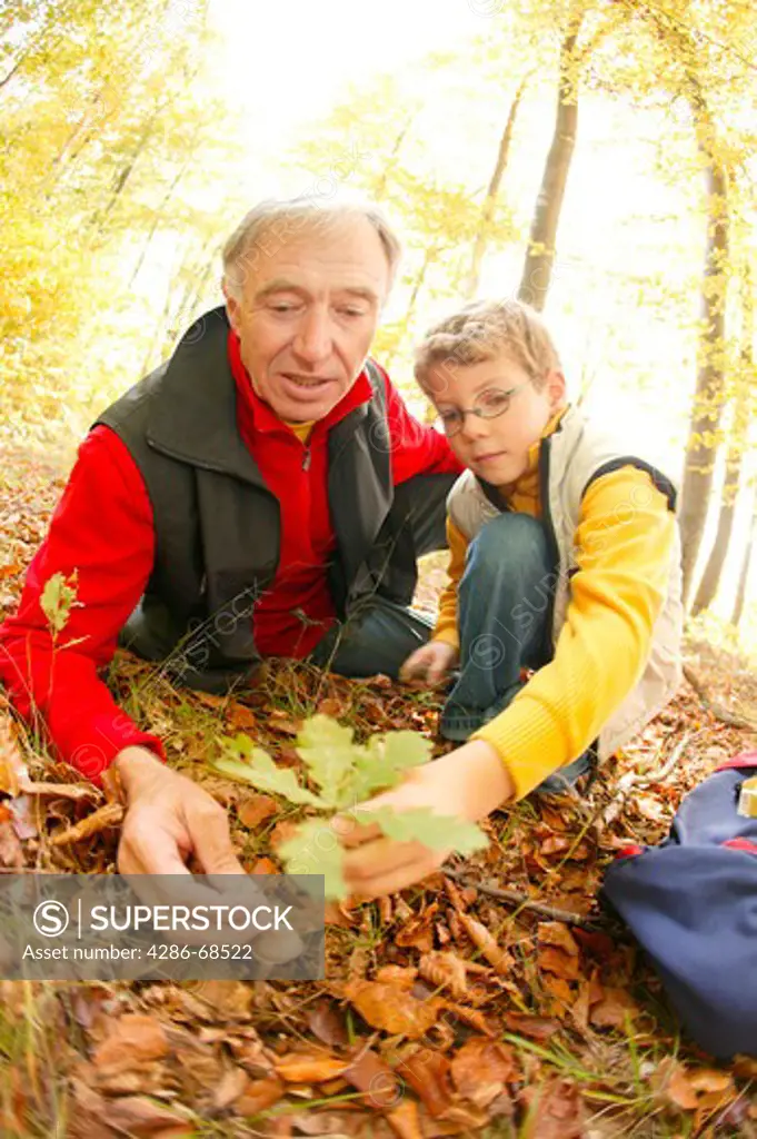 grandpa and grandson in autumn forest