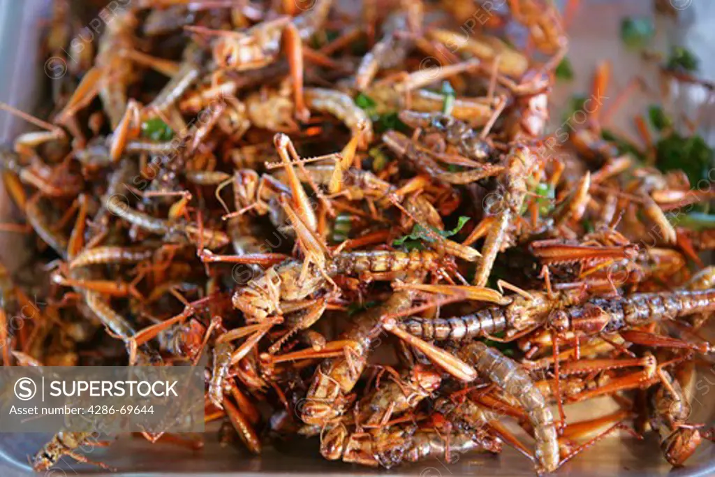 Fried grasshoppers at a market in Thailand