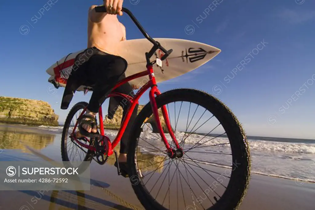 A man with a surfboard riding a cruiser bike on the beach at Natural Bridges State Park in Santa Cruz in California