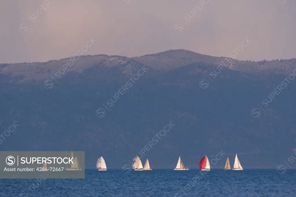 Sailboats on Lake Tahoe