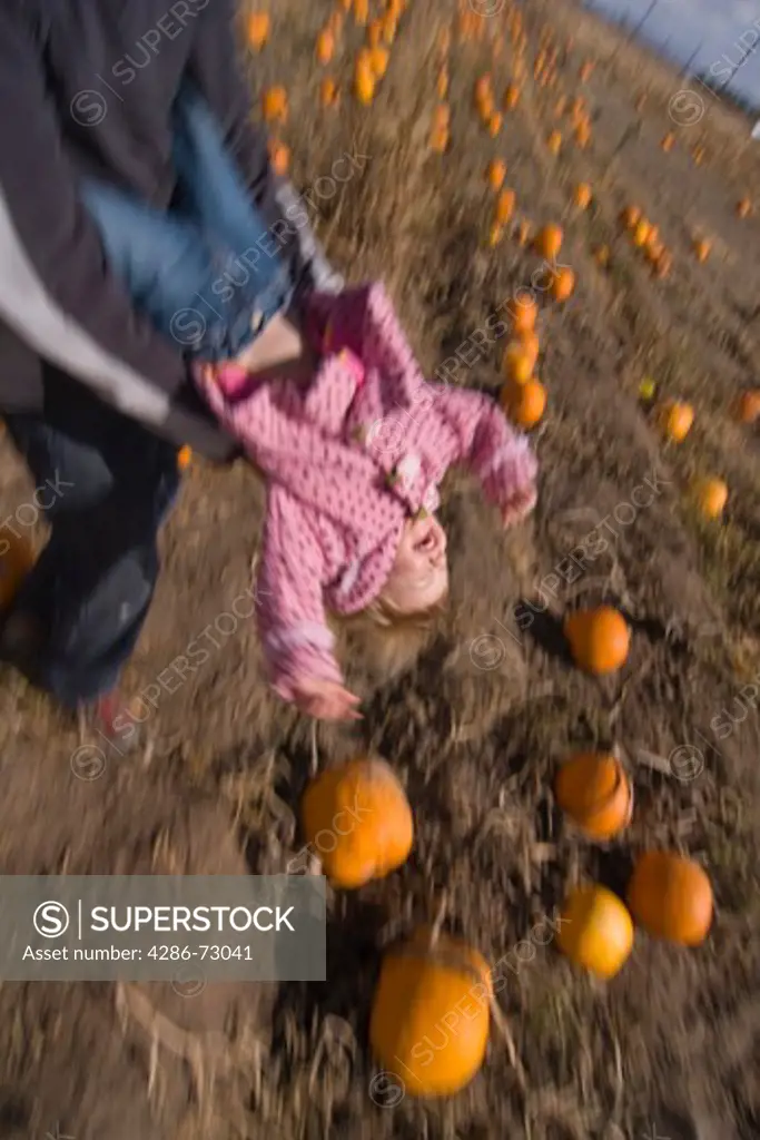  A father swinging his child in a pumpkin patch in Fallon Nevada