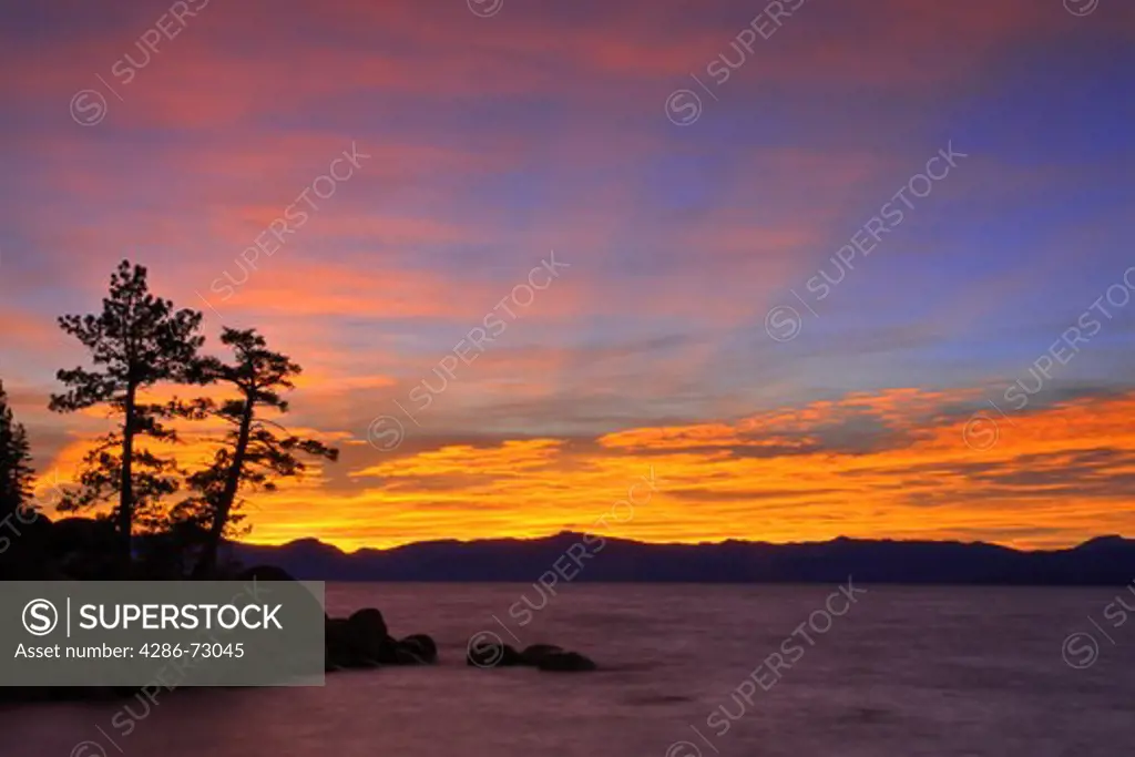 HDR tone mapped Sunset and trees on Lake Tahoe in Nevada