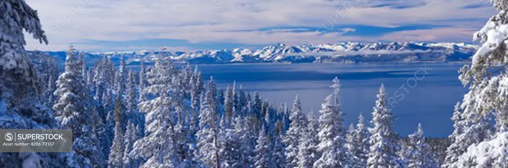 A view of Lake Tahoe California with snowy trees in the morning after a winter storm