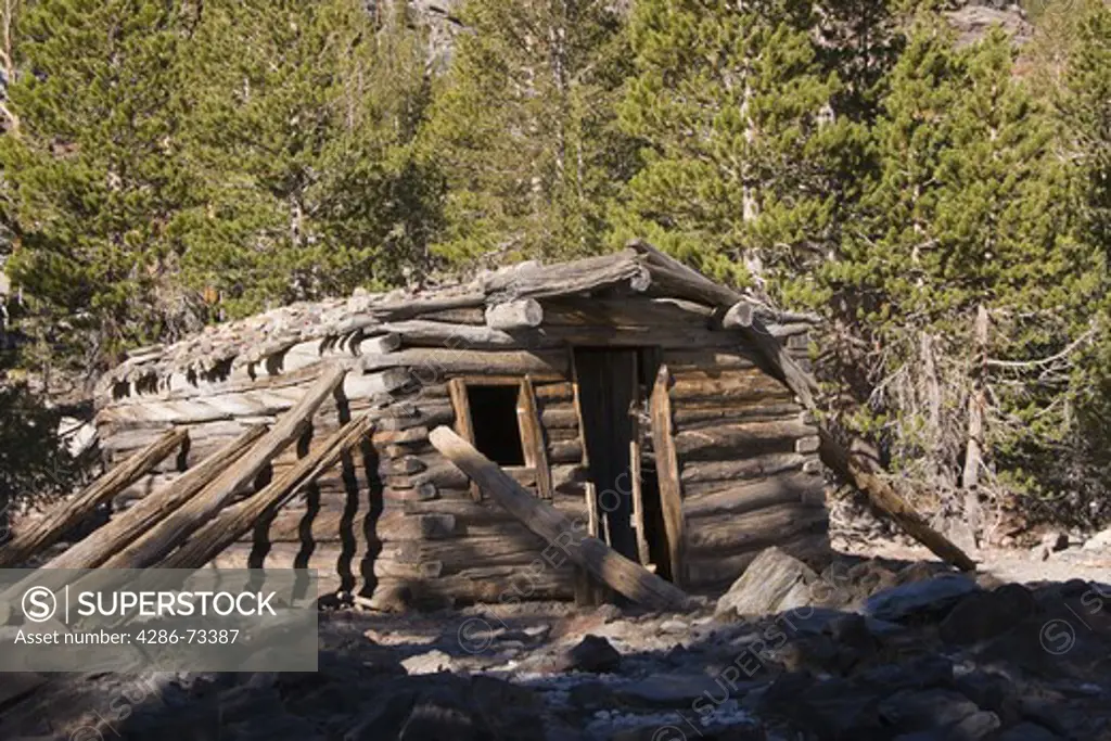 An old miners cabin near Virginia Lakes in the Sierra Mountains of California